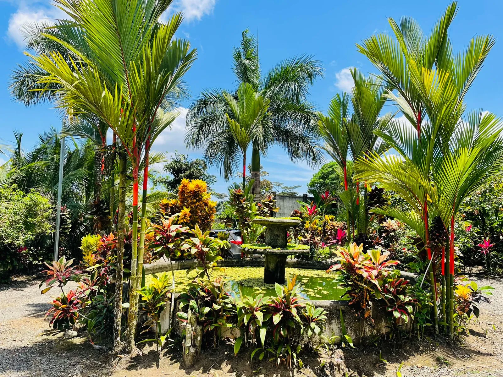 Aunty Arenal Lodge Presentation
