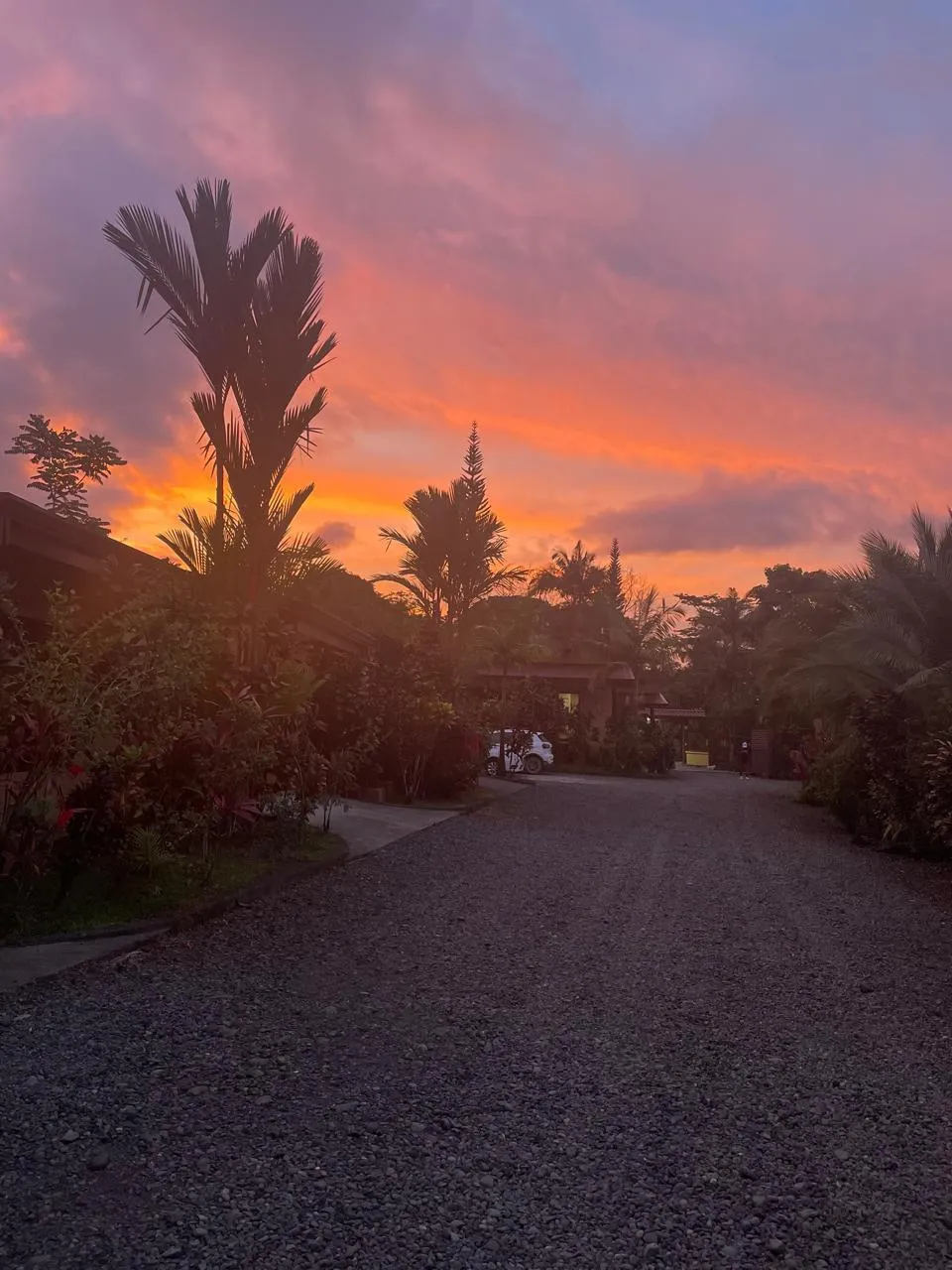 Aunty Arenal Lodge Presentation