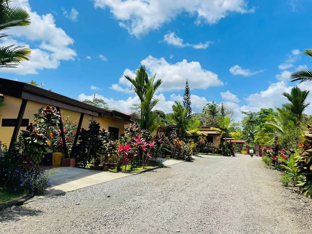 Aunty Arenal Lodge Presentation