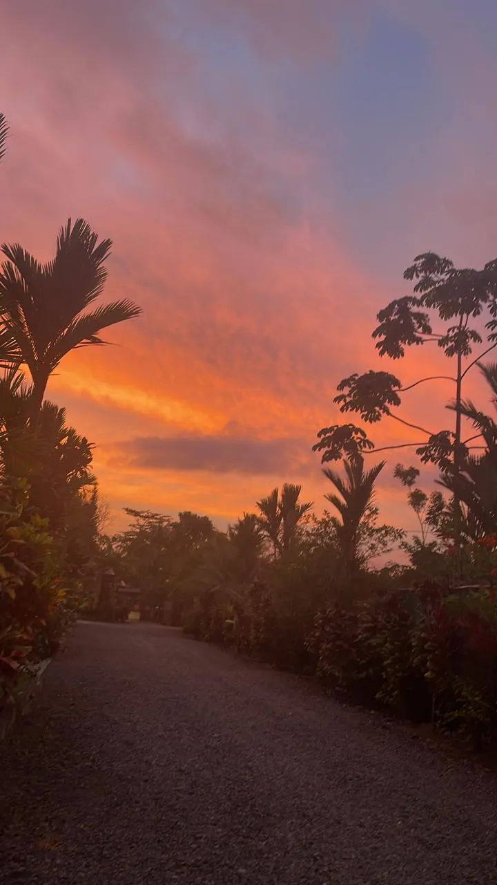 Aunty Arenal Lodge Presentation